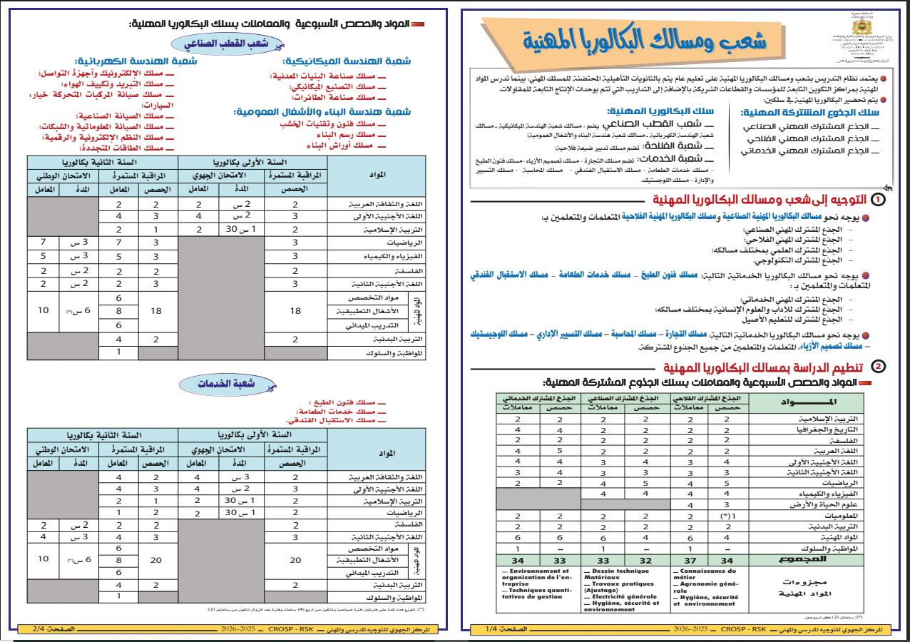 المسالك المهنية