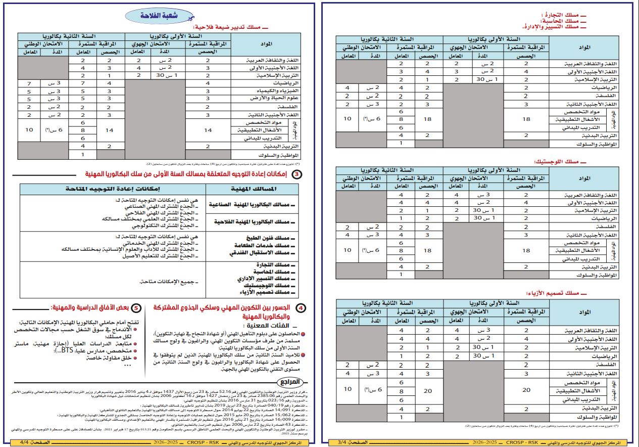 المسالك المهنية